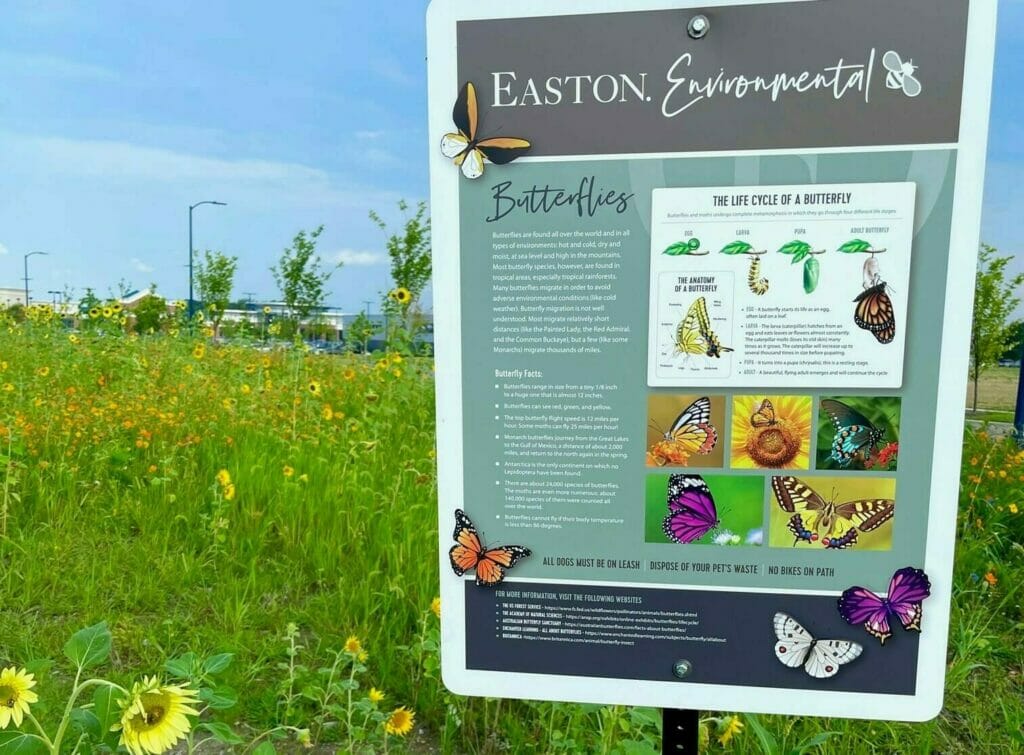 A sign of butterfly habitat information in a field of flowers at Easton.