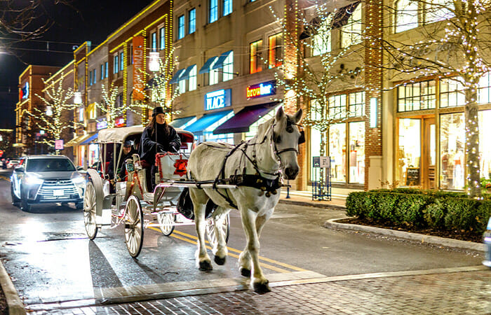 A horse and driver pulling a carriage of people during the holidays at Easton.