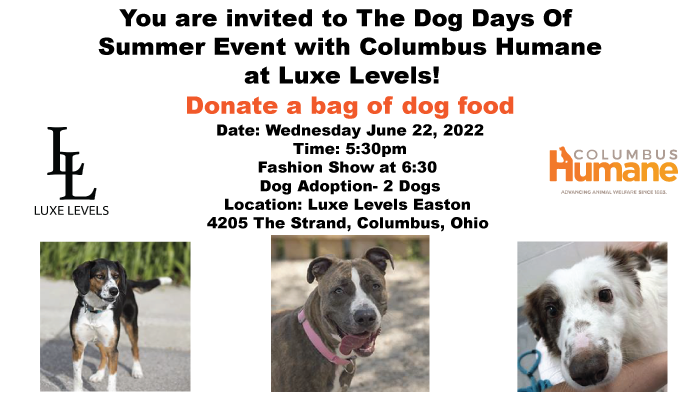 You are invited to the Dog Days of Summer Event with the Columbus Humane Society at Luxe Levels! Donate a bag of dog food. Wednesday, June 22, 2022 at 5:30 pm. Fashion Show at 6:30pm. Located at Luxe Levels Easton. 4205 The Strand, Columbus, OH.