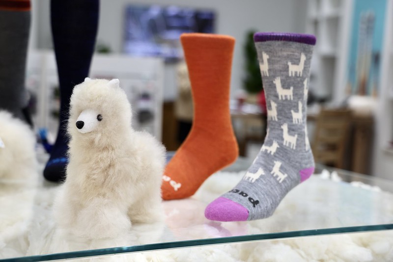 Alpaca wool socks with alpaca toy on display table.