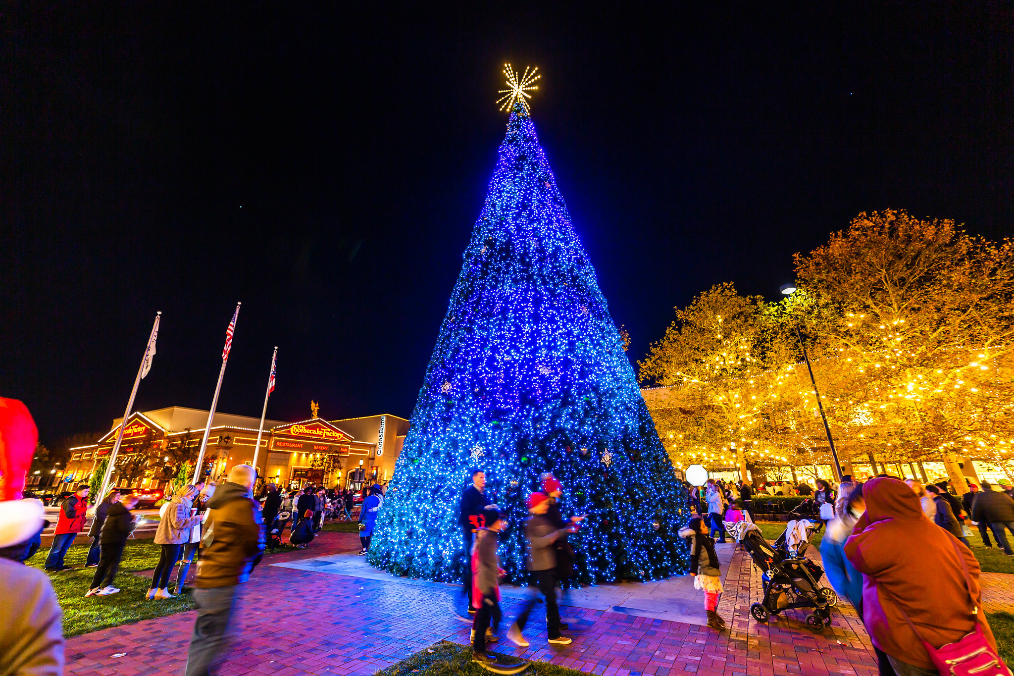 Easton Town Center Tree Lighting 2024 Events - Luz Myrtia