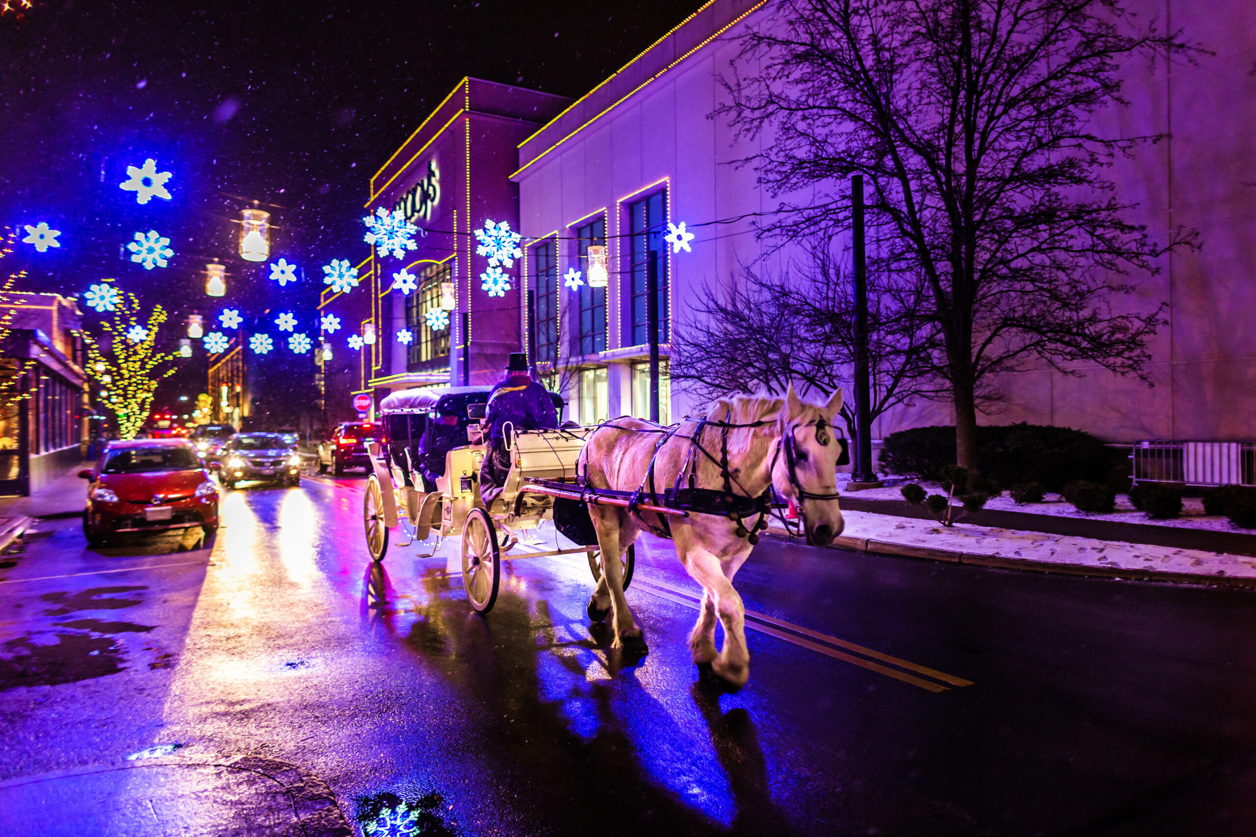 Carriage Rides at Easton.