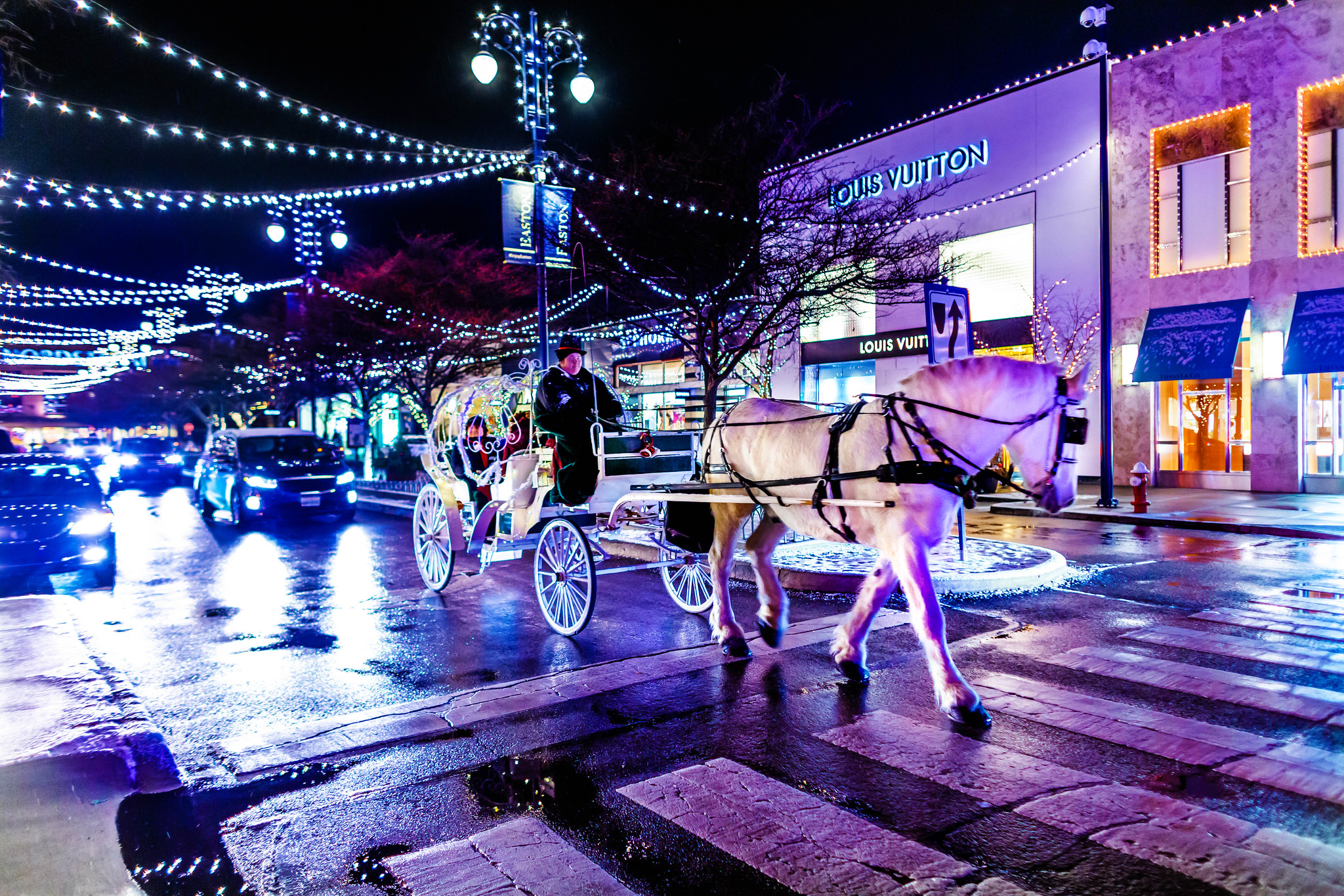 A horse pulling a carriage on the streets of Easton Town Center.