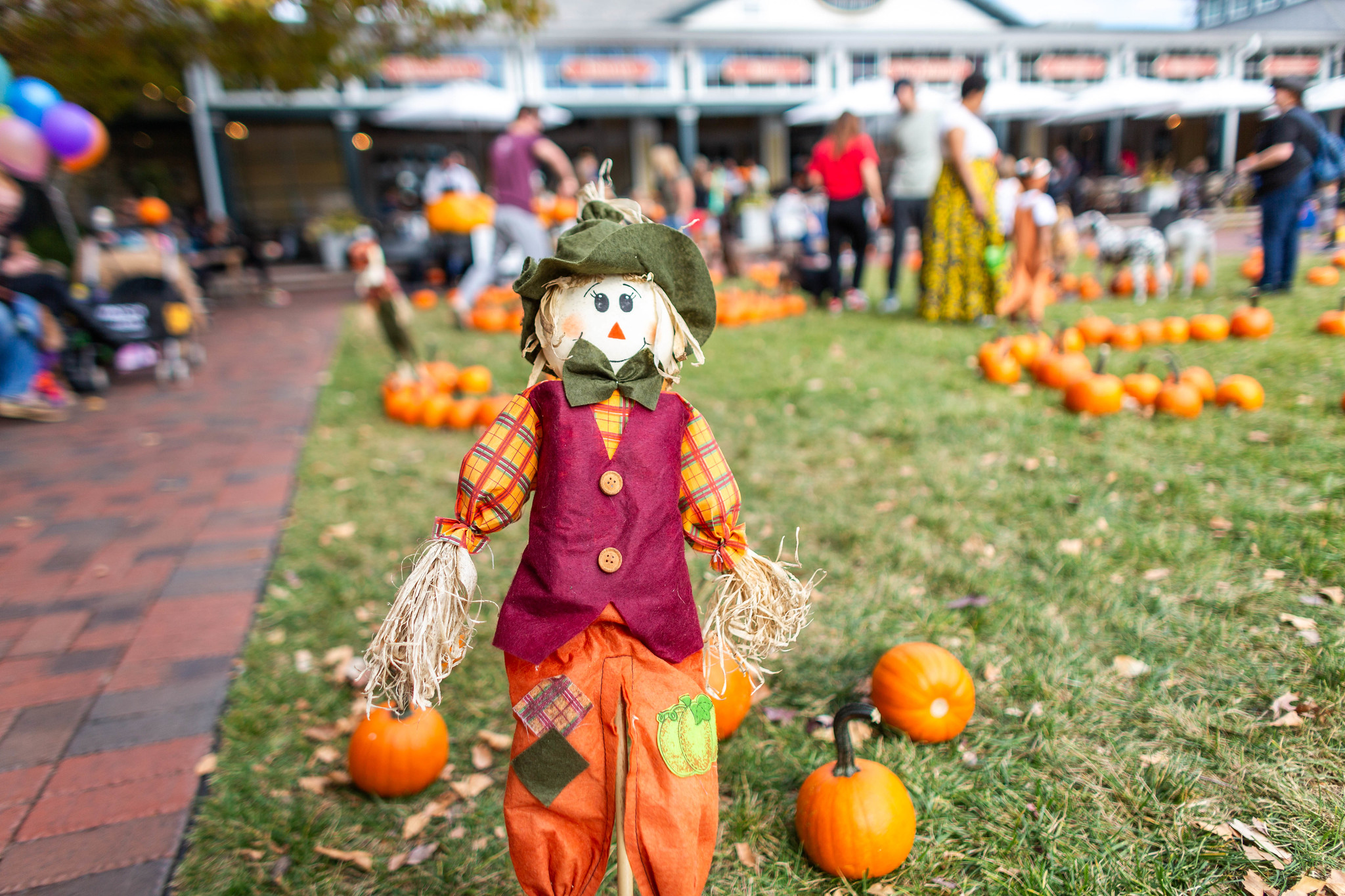 Fall event pumpkin patch at Easton.