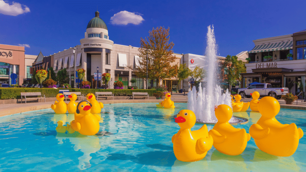 Inflatable ducks in the Sentral Park Fountain at Easton Town Center